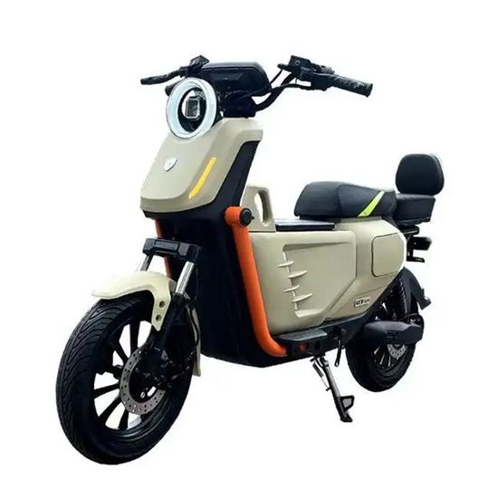 UB EBIKE (BIG)